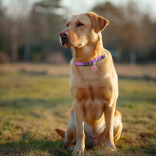 Load image into Gallery viewer, MASBRILL Dog Collar And Leash Set,Reflective Dog Collar With Dog Tag ,Soft Neoprene Padded Breathable ,Odour Resistant And Fast Drying Dog Leash+Dog Collar