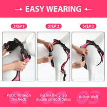 Load image into Gallery viewer, MASBRILL Dog Harness and Leash Set, No Pull Vest Harness, Reflective Adjustable Soft Padded Pet Harness with Handle for Small to Large Dogs