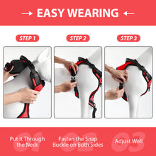 Load image into Gallery viewer, MASBRILL Dog Harness and Leash Set, No Pull Vest Harness, Reflective Adjustable Soft Padded Pet Harness with Handle for Small to Large Dogs