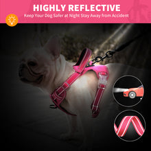 Load image into Gallery viewer, MASBRILL Reflective Dog Harness No Pull Dog Vest Harness With Handle,No Choke Adjustable Soft Padded Pet Vest for Small to Large Dogs