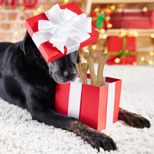 Load image into Gallery viewer, MASBRILL Dog Chew Toys for Aggressive Chewers – 3-Pack, Bone Shape, Eco-Friendly, Teeth Cleaning & Anxiety Relief for Puppy to Medium Dogs