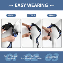 Load image into Gallery viewer, MASBRILL Dog Harness and Leash Set, No Pull Vest Harness, Reflective Adjustable Soft Padded Pet Harness with Handle for Small to Large Dogs