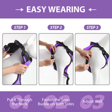 Load image into Gallery viewer, MASBRILL Dog Harness and Leash Set, No Pull Vest Harness, Reflective Adjustable Soft Padded Pet Harness with Handle for Small to Large Dogs
