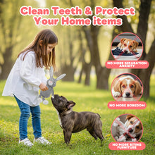 Load image into Gallery viewer, MASBRILL 10 Pack Puppy Chew Toys , Dog Toys for Small Dogs with Ropes, Treat Ball and Plush Squeaky to Keep Them Busy, Grey Rabbit