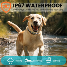 Load image into Gallery viewer, MASBRILL Dog Bark Shock Collar for Large Medium Small Dogs,Smart Bark Collar,Rechargeable Anti Barking Training Collar with 7 Adjustable Sensitivity, with Beep Vibration