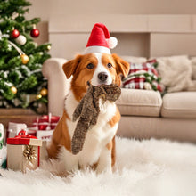 Load image into Gallery viewer, MASBRILL Dog Squeaky Toys, 5 PCS Crinkle Plush Dog Toys ,Stuffless Puppy Toys for Boredom,Teething and Chewing, Best Birthday Gift for Puppy to Large Size Breeds