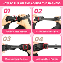 Load image into Gallery viewer, MASBRILL Reflective Dog Harness No Pull Dog Vest Harness with Handle, Breathable Padded Dog Chest Harness Adjustable for Medium Dog-Blue