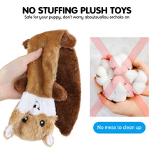 Load image into Gallery viewer, MASBRILL Squirrel Dog Squeaky Toys, 3PCS Crinkle Plush Dog Toys for Teething Chewing- No Stuffing&With Soft Squeaker , Best Birthday Gift For Puppy to Large Size Breeds