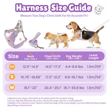 Load image into Gallery viewer, MASBRILL Dog Harness and Leash Set No Pull with Safety Lock, Adjustable Puppy Soft Vest, X-Shaped Pet Harness for Small Dog