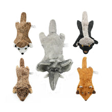 Load image into Gallery viewer, MASBRILL Dog Squeaky Toys, 5 PCS Crinkle Plush Dog Toys ,Stuffless Puppy Toys for Boredom,Teething and Chewing, Best Birthday Gift for Puppy to Large Size Breeds