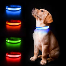 Load image into Gallery viewer, MASBRILL LED Dog Collars Flashing Light Up Dog Collar Rechargeable and Safety Night Glowing Dog Collar for Small Medium Large Dogs Blue