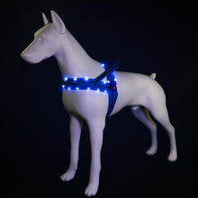 Load image into Gallery viewer, MASBRILL Light Up Dog Harness, Reflective Led Dog Harness Glow-in-The-Dark for Night Walking, USB Rechargeable Lighted Dog Safety Vest for Medium Dogs, Adjustable Soft Mesh No Pull Dog Harness