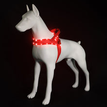 Load image into Gallery viewer, MASBRILL Light Up Dog Harness, Reflective Led Dog Harness Glow-in-The-Dark for Night Walking, USB Rechargeable Lighted Dog Safety Vest for Medium Dogs, Adjustable Soft Mesh No Pull Dog Harness