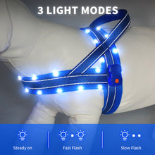 Load image into Gallery viewer, MASBRILL Light Up Dog Harness, Reflective Led Dog Harness Glow-in-The-Dark for Night Walking, USB Rechargeable Lighted Dog Safety Vest for Medium Dogs, Adjustable Soft Mesh No Pull Dog Harness