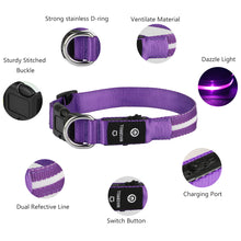 Load image into Gallery viewer, MASBRILL LED Dog Collar, Glowing Night Walking Light Dog Collar, Waterproof and USB Rechargeable for Small Medium Large Dogs Flashing Collar