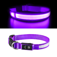 Load image into Gallery viewer, MASBRILL LED Dog Collars Flashing Light Up Dog Collar Rechargeable and Safety Night Glowing Dog Collar for Small Medium Large Dogs Blue