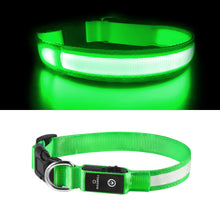 Load image into Gallery viewer, MASBRILL LED Dog Collars Flashing Light Up Dog Collar Rechargeable and Safety Night Glowing Dog Collar for Small Medium Large Dogs Blue