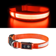 Load image into Gallery viewer, MASBRILL LED Dog Collars Flashing Light Up Dog Collar Rechargeable and Safety Night Glowing Dog Collar for Small Medium Large Dogs Blue