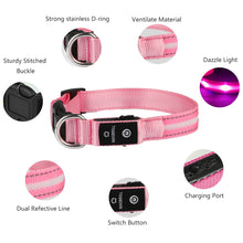 Load image into Gallery viewer, MASBRILL LED Dog Collar, Glowing Night Walking Light Dog Collar, Waterproof and USB Rechargeable for Small Medium Large Dogs Flashing Collar