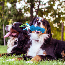 Load image into Gallery viewer, MASBRILL Squeaky Indestructible Durable Dog Chew Toys for Teething Non-Toxic Natural Rubber Interactive Dog Toys