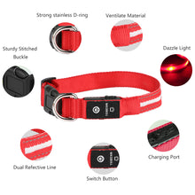 Load image into Gallery viewer, MASBRILL LED Dog Collar, Glowing Night Walking Light Dog Collar, Waterproof and USB Rechargeable for Small Medium Large Dogs Flashing Collar