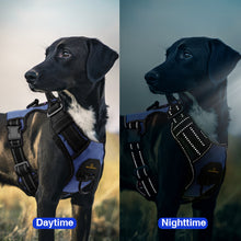 Load image into Gallery viewer, MASBRILL Reflective Dog Harness No Pull Dog Vest Harness with Handle, Breathable Padded Dog Chest Harness Adjustable for Medium Dog-Blue
