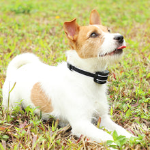 Load image into Gallery viewer, MASBRILL Small Dog Bark Collar, No Bark Collars Anti Barking Collar for Small Dogs Small Most Humane Stop Barking Collar Rechargeable Bark Collar with 7 Sensitivity and Intensity Beep Vibration Black