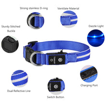 Load image into Gallery viewer, MASBRILL LED Dog Collar, Glowing Night Walking Light Dog Collar, Waterproof and USB Rechargeable for Small Medium Large Dogs Flashing Collar