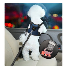 Load image into Gallery viewer, MASBRILL Dog Car Seat Belt, Retractable Dog Car Seatbelts, Adjustable Pet Seat Belt for Vehicle, Nylon Pet Safety Seat Belts Heavy Duty & Elastic & Durable Car Harness for Dogs