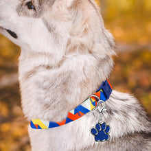 Load image into Gallery viewer, MASBRILL Dog Collar for Medium Dogs, Durable Nylon Dog Collars with Colorful Desige, Eyecatcher Looking and Comfortable Dog Collar