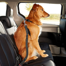 Load image into Gallery viewer, MASBRILL Dog Car Seat Belt, Retractable Dog Car Seatbelts, Adjustable Pet Seat Belt for Vehicle, Nylon Pet Safety Seat Belts Heavy Duty & Elastic & Durable Car Harness for Dogs