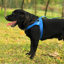Load image into Gallery viewer, MASBRILL Reflective Dog Harness No Pull No Choking with Handle, Breathable Mesh Padded Dog Chest Adjustable Dog Harness