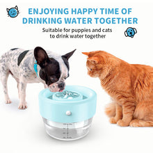 Load image into Gallery viewer, MASBRILL Cat Fountain Water Fountain, 1L Automatic Pet Water Fountain, Cat Dog Water Dispenser with Auto Power Off Pump, Ultra Quiet Pet Drinking Fountain for Cats, Dogs