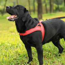 Load image into Gallery viewer, MASBRILL Reflective Dog Harness No Pull No Choking with Handle, Breathable Mesh Padded Dog Chest Adjustable Dog Harness