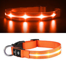 Load image into Gallery viewer, MASBRILL LED Dog Collar, Glowing Night Walking Light Dog Collar, Waterproof and USB Rechargeable for Small Medium Large Dogs Flashing Collar