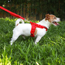 Load image into Gallery viewer, MASBRILL No Pull Dog Harness, Mesh Breathable Padded Dog Vest Harness Step-in No Choke Adjustable Dog Harness for Small Medium Large Dogs - Blue S