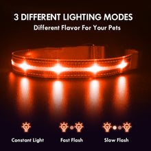Load image into Gallery viewer, MASBRILL LED Dog Collar, Glowing Night Walking Light Dog Collar, Waterproof and USB Rechargeable for Small Medium Large Dogs Flashing Collar