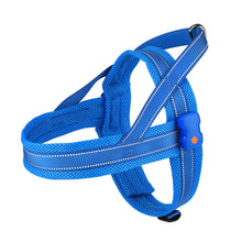 Load image into Gallery viewer, MASBRILL Light Up Dog Harness, Reflective Led Dog Harness Glow-in-The-Dark for Night Walking, USB Rechargeable Lighted Dog Safety Vest for Medium Dogs, Adjustable Soft Mesh No Pull Dog Harness