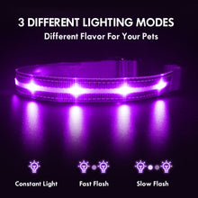 Load image into Gallery viewer, MASBRILL LED Dog Collar, Glowing Night Walking Light Dog Collar, Waterproof and USB Rechargeable for Small Medium Large Dogs Flashing Collar