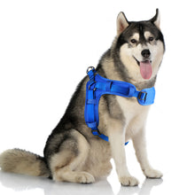 Load image into Gallery viewer, MASBRILL No Pull Dog Harness, Mesh Breathable Padded Dog Vest Harness Step-in No Choke Adjustable Dog Harness for Small Medium Large Dogs - Blue S