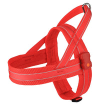 Load image into Gallery viewer, MASBRILL Light Up Dog Harness, Reflective Led Dog Harness Glow-in-The-Dark for Night Walking, USB Rechargeable Lighted Dog Safety Vest for Medium Dogs, Adjustable Soft Mesh No Pull Dog Harness