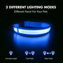Load image into Gallery viewer, MASBRILL LED Dog Collars Flashing Light Up Dog Collar Rechargeable and Safety Night Glowing Dog Collar for Small Medium Large Dogs Blue