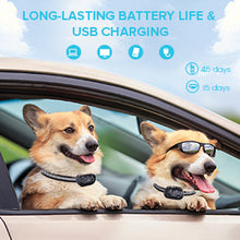 Load image into Gallery viewer, MASBRILL Dog Training Collar, Bark Collar with Remote, 2 in 1 Dog Automatic Anti Bark and Training Collar with 3 Training Modes, Up 1000ft Range, Waterproof Shock Collar for Medium Large Dogs