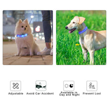 Load image into Gallery viewer, MASBRILL LED Dog Collar, Glowing Night Walking Light Dog Collar, Waterproof and USB Rechargeable for Small Medium Large Dogs Flashing Collar