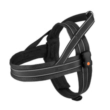 Load image into Gallery viewer, MASBRILL Light Up Dog Harness, Reflective Led Dog Harness Glow-in-The-Dark for Night Walking, USB Rechargeable Lighted Dog Safety Vest for Medium Dogs, Adjustable Soft Mesh No Pull Dog Harness