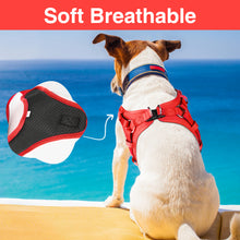 Load image into Gallery viewer, MASBRILL No Pull Dog Harness, Mesh Breathable Padded Dog Vest Harness Step-in No Choke Adjustable Dog Harness for Small Medium Large Dogs - Blue S