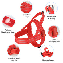 Load image into Gallery viewer, MASBRILL Light Up Dog Harness, Reflective Led Dog Harness Glow-in-The-Dark for Night Walking, USB Rechargeable Lighted Dog Safety Vest for Medium Dogs, Adjustable Soft Mesh No Pull Dog Harness