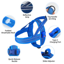 Load image into Gallery viewer, MASBRILL Light Up Dog Harness, Reflective Led Dog Harness Glow-in-The-Dark for Night Walking, USB Rechargeable Lighted Dog Safety Vest for Medium Dogs, Adjustable Soft Mesh No Pull Dog Harness