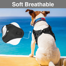 Load image into Gallery viewer, MASBRILL No Pull Dog Harness, Mesh Breathable Padded Dog Vest Harness Step-in No Choke Adjustable Dog Harness for Small Medium Large Dogs - Blue S