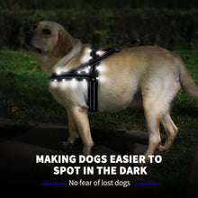 Load image into Gallery viewer, MASBRILL Light Up Dog Harness, Reflective Led Dog Harness Glow-in-The-Dark for Night Walking, USB Rechargeable Lighted Dog Safety Vest for Medium Dogs, Adjustable Soft Mesh No Pull Dog Harness